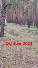 Foto: (Plastik-) Müll im Wald seit ca.Oktober 2023 durch &quot;Migranten-Nachtlager&quot; / polizeibekannter Fall illigaler Schleusung 